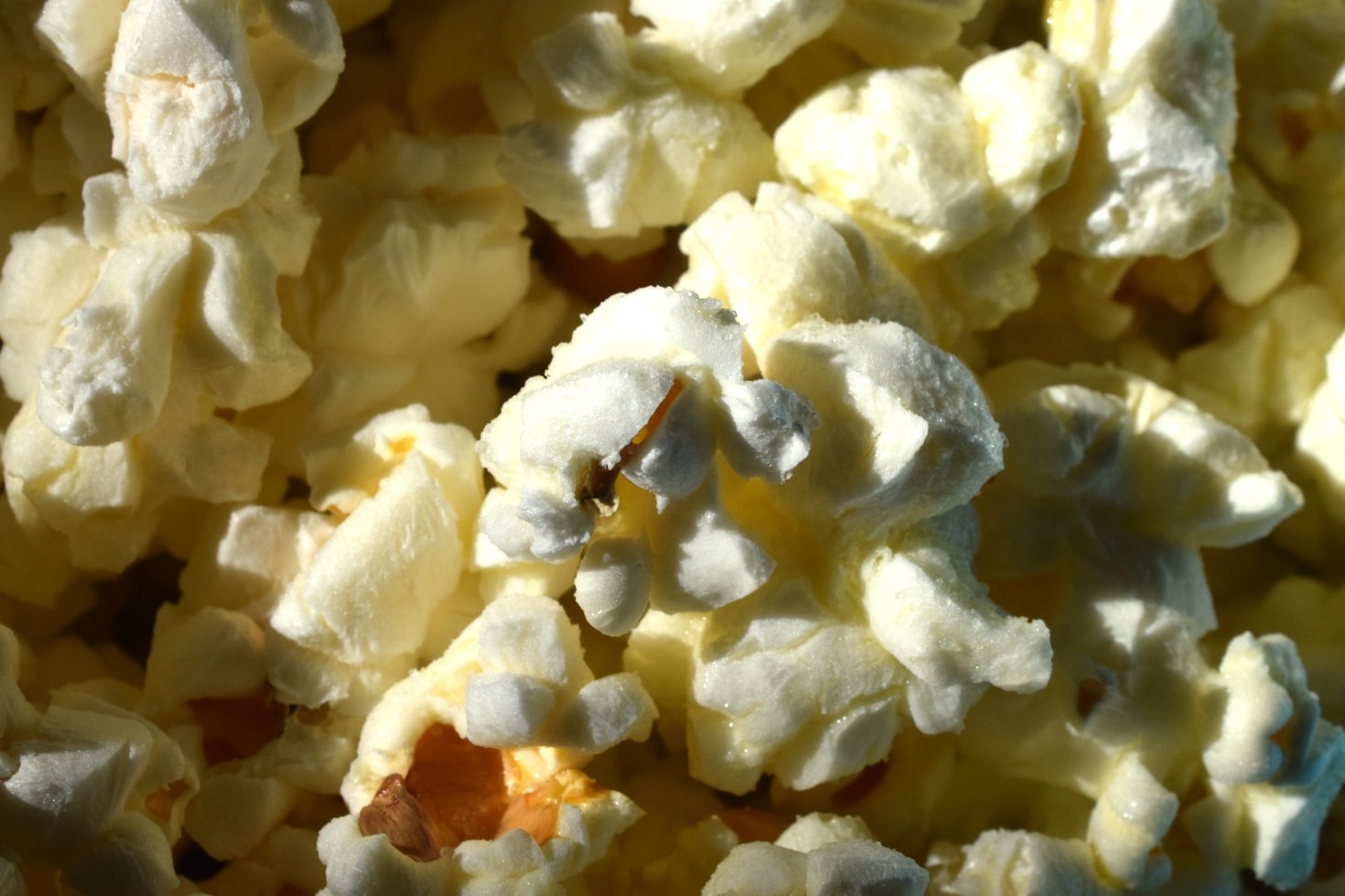 The Ultimate Guide to Popcorn Varieties